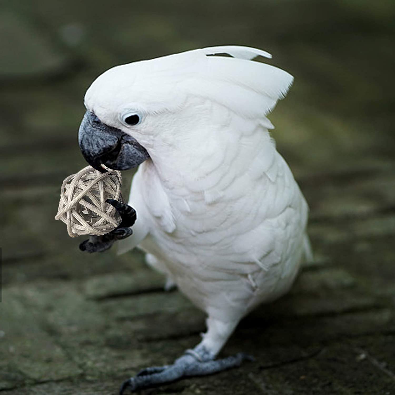 Benvo Rattan Balls 32 Pack 1.2 inch Wicker Ball Birds Quaker Parrot Parakeet Chewing Pet Bite Ball