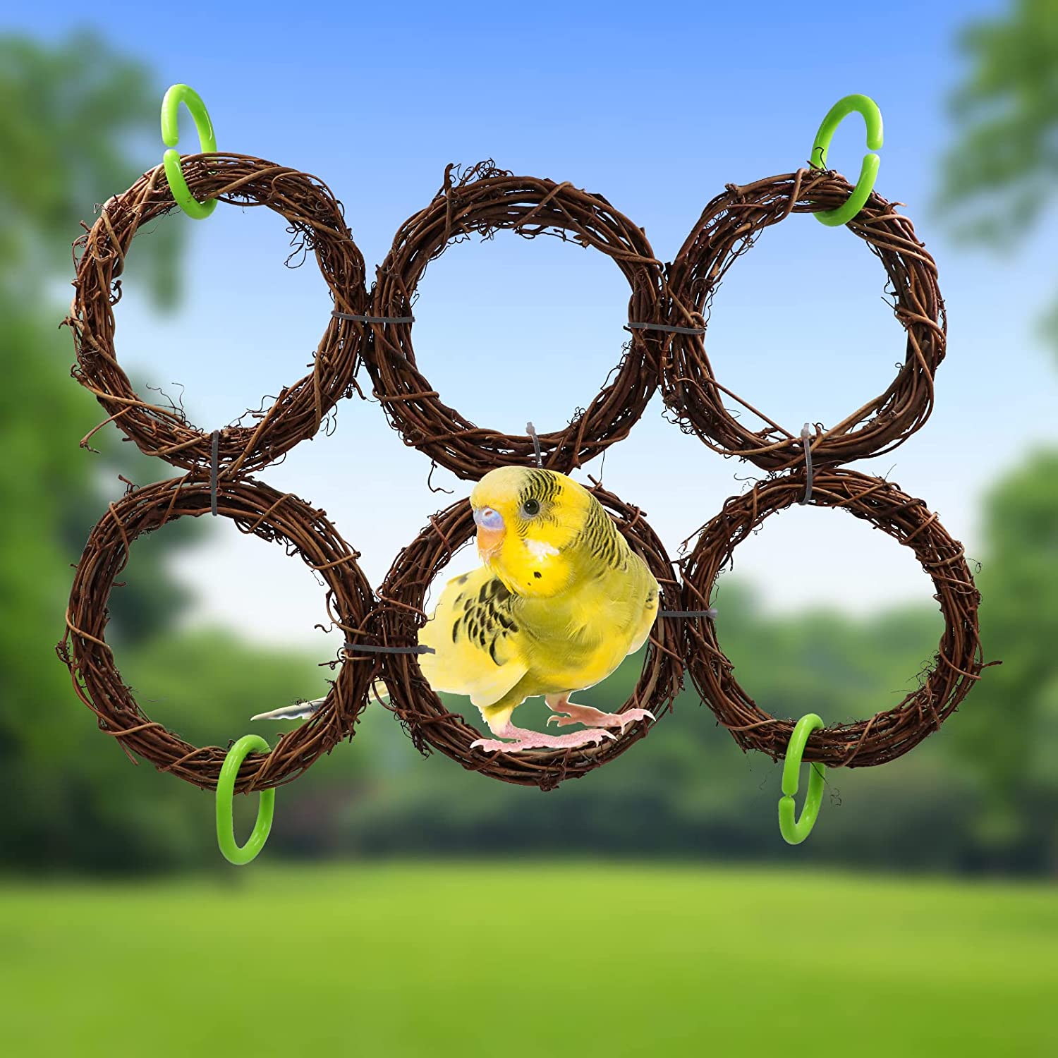 Bird Vine Rings Toy