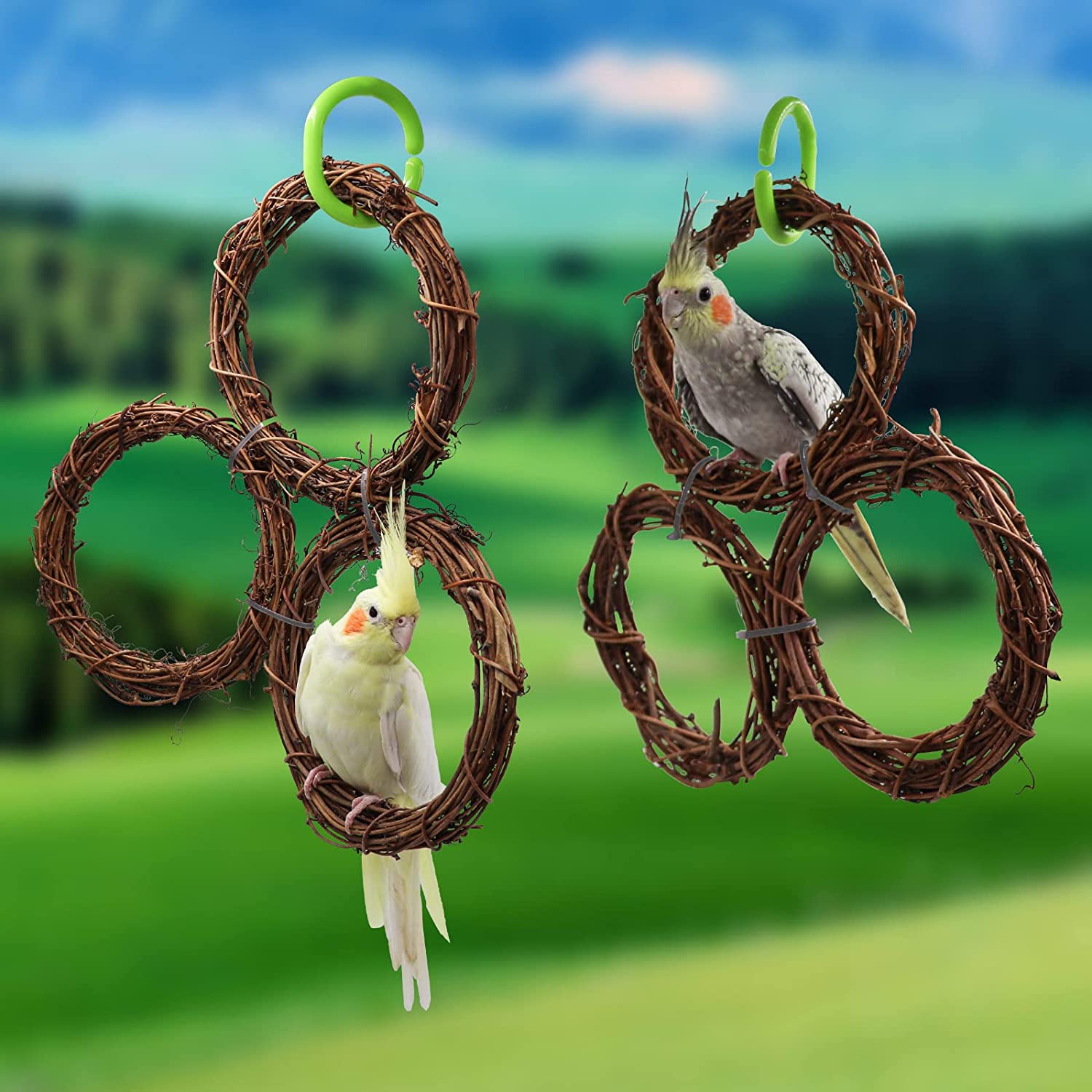 Bird Vine Rings Toy