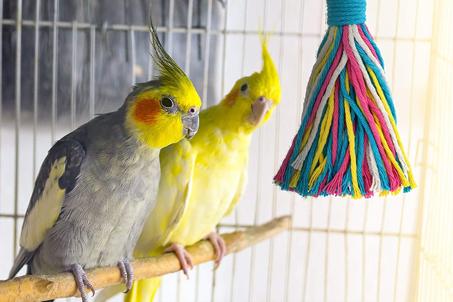 Preening - Colorful, Safe, Cotton Rope - Birds Cage Playground Accessories & Supplies - Parrot Toys