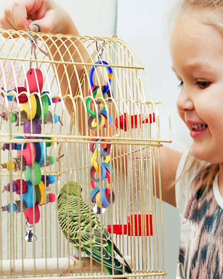 Bissap 2PCS Bird Chew Toys