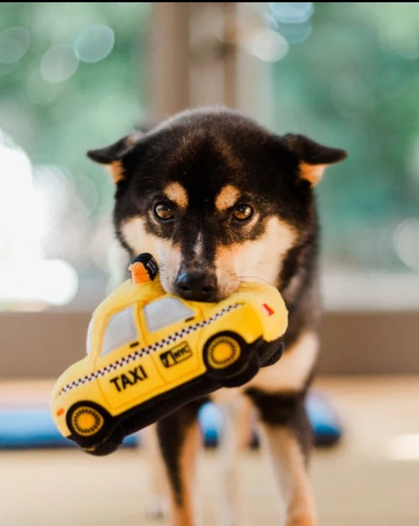 Canine Commute Taxi Plush Crinkle + Squeaky Dog Toy