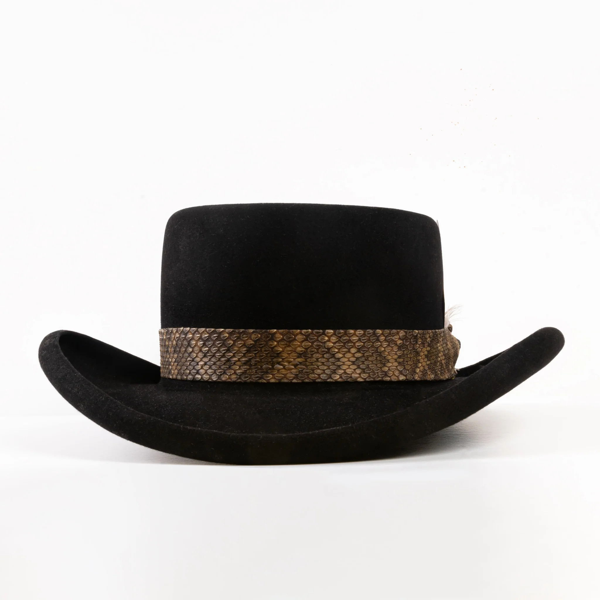 RONNIE VAN ZANT HAT