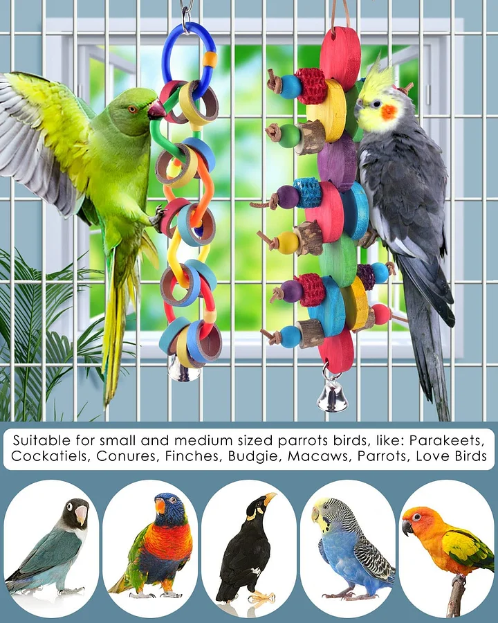 Bissap 2PCS Bird Chew Toys