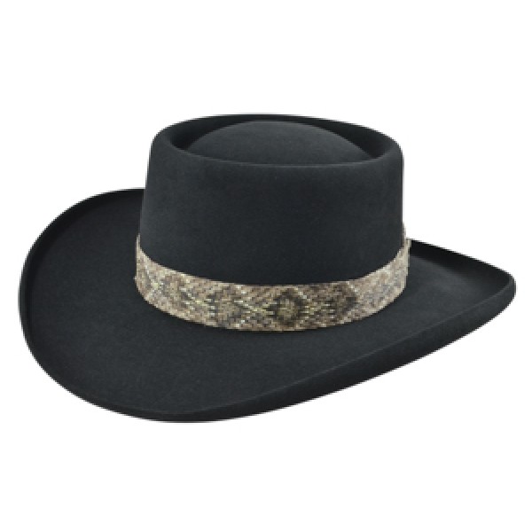 RONNIE VAN ZANT HAT